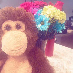 Meet your Posher, Ariana